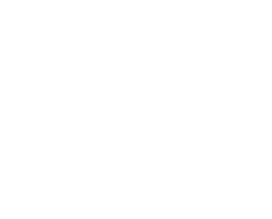 Arakaki Sensei